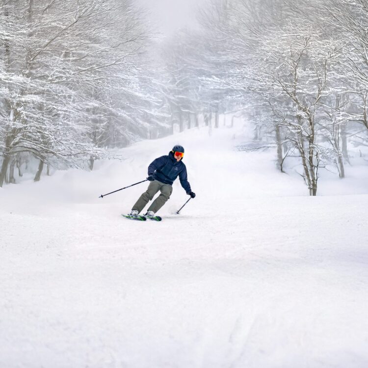 Ski areas and snow conditions - Association des Stations de ski du ...