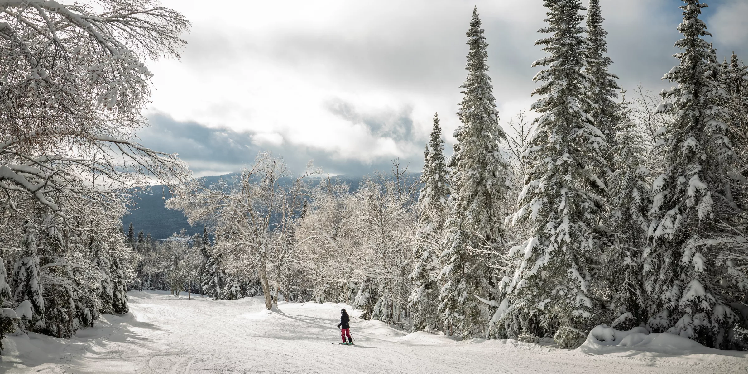 Ski-alpin-Mont-Grand-Fonds-neige